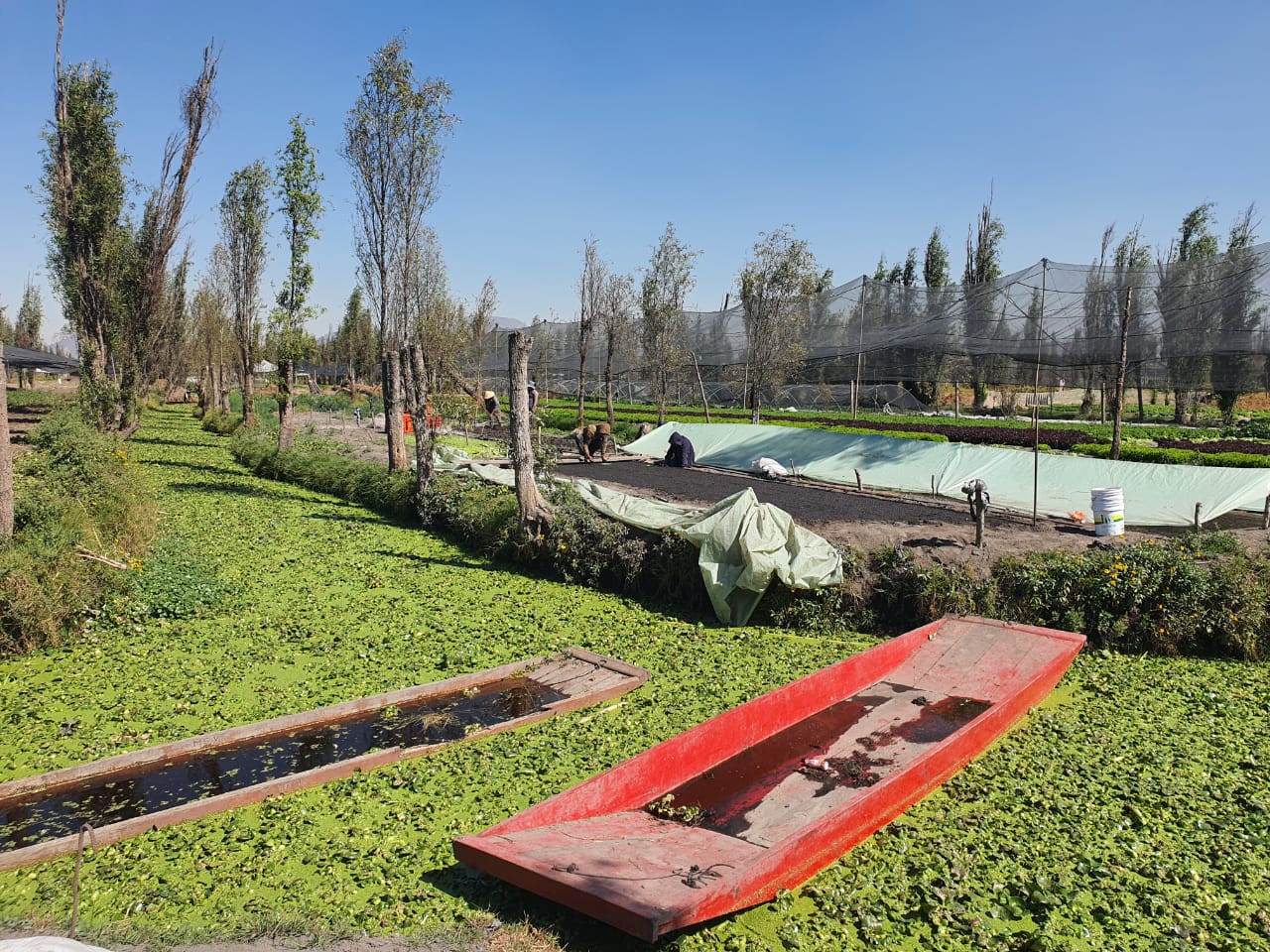 Registro de la visita a Xochimilco con el Arq. González Pozo. Fotografía: Elisa Drago