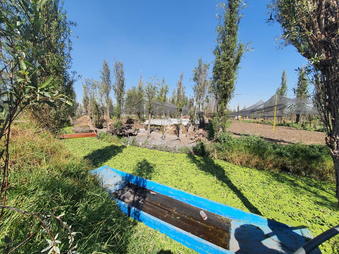 Registro de la visita a Xochimilco con el Arq. González Pozo. Fotografía: Elisa Drago